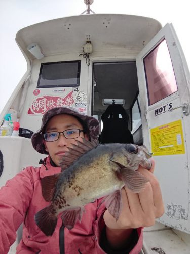 広島 船メバル釣行 スタッフ釣行レポート 釣具 えさの販売のアングルグループ