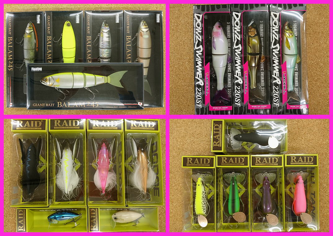 小屋浦店入荷情報 セール 入荷情報 釣具 えさの販売のアングルグループ